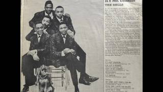 It&#39;s Not Unusual The Dells 1965