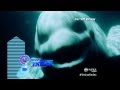 World News Instant Index Whale Imitates Human Speech Unfinished John Lennon Lyrics