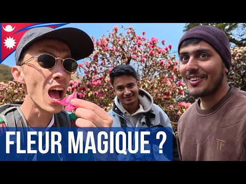 I'm eating a MAGIC FLOWER with Nepalese people! 🇳🇵