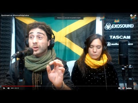 Rootment en #SomosPelaGatos