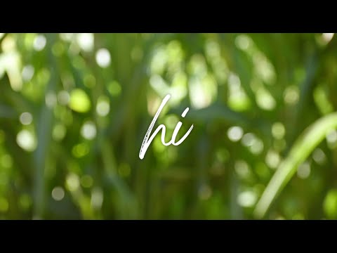 Gabriel Eli, KAYLN - Hi (Official Lyric Video)