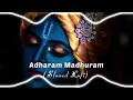 ADHARAM MADHURAM SLOWED LOFI SONG