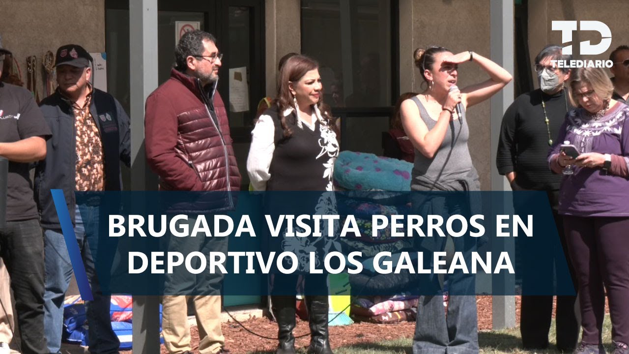 ¡Son atendidos! Brugada defiende el cierre del Refugio Franciscano; serán dados en adopción