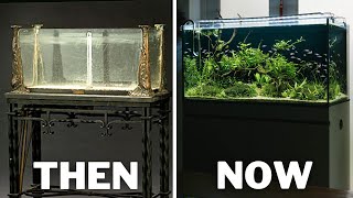 Keeping Fish Then VS Now