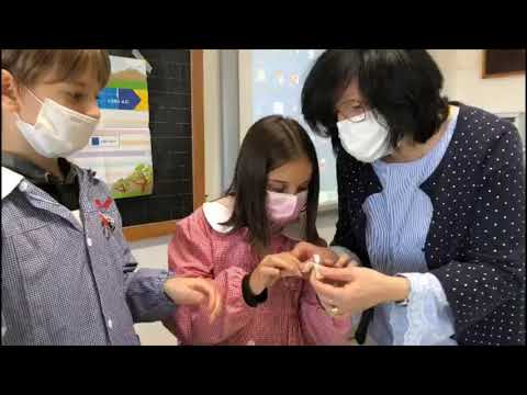 Anteprima: Allevamento bachi da seta