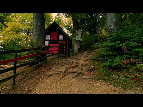 La Cascada Urlatoarea in fuga