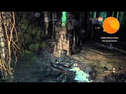 The Witcher 3: Wild Hunt - Contract: Devil by the Well: Find A Way Out of The Well Swimming Sequence