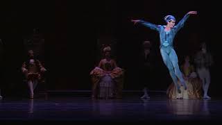 BalletMet Sleeping Beauty