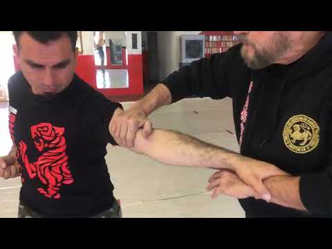 Taller 36 Puntos débiles y ataque a nervios por Shihan Renato Landeros, LAFD