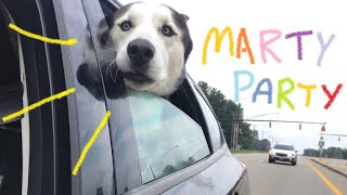 wrote a song for my dog