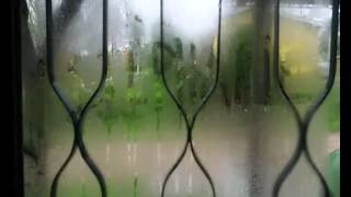 Trotsky Vengaran  Sobre un vidrio mojado