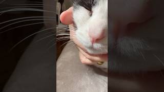 今日のもーちゃん♡