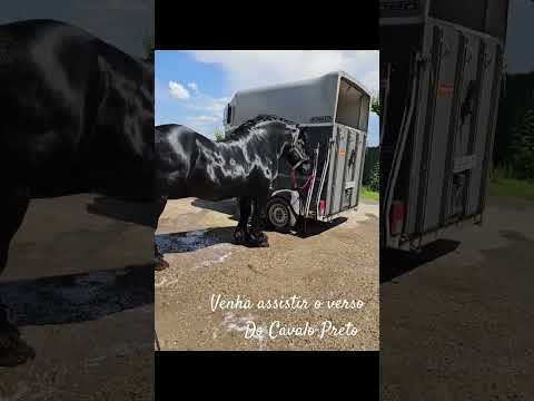 Tem Versos do cavalo preto #foryou #sertanejo #caipira #caipirao #musica #radio #caipiramemo #agro