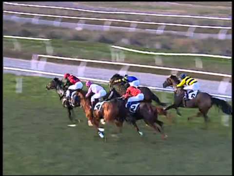 Galoppo 11/01/2015 - 4° corsa