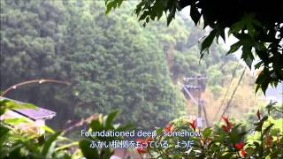 マイ　バック　ページ　/　My Back Pages with lyrics