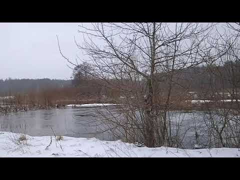 Іслач і Заходняя Бярэзіна разліліся да дарогі. 21.03.2021. Налібоцкая пушча