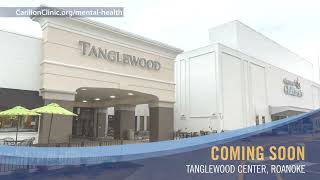 Tanglewood Mental Health Timelapse