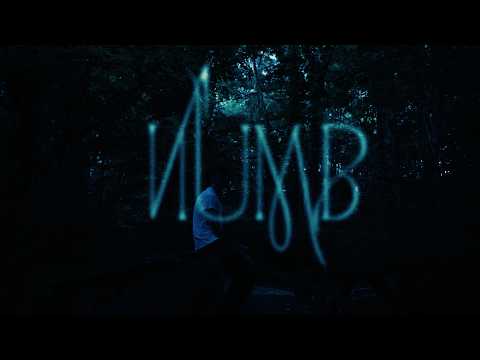 Shaya Zamora - Numb [Lyric Video]