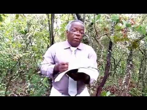 Descubra a verdade santa ceia mata? : vídeo 2 T4M3X