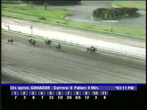 Resumen Sabado, 18 de Mayo de 2013 - La Rinconada