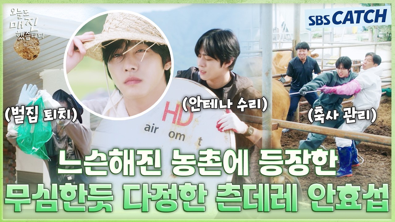 느슨해진 농촌에 등장한 무심한듯 다정한 츤데레 농부 안효섭✨ 진짜 설레고 난리..💚 #오늘도매진했습?