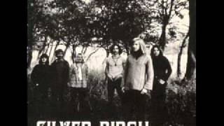 Silver Birch - Usher's well