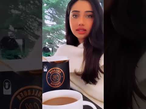 Vegan collagen powder