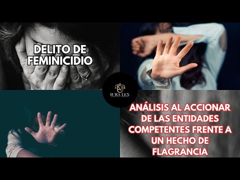Entrevista sobre delitos de alta complejidad