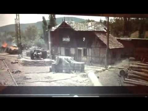 Funny oddball scenes