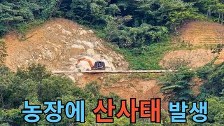 농장에 산사태 발생