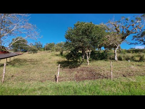 Imagen de Venta de Lotes y Terrenos en San jerónimo - Moravia San Jerónimo - SAN JOSÉ