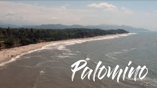 preview picture of video 'PALOMINO | Travel video 2018'