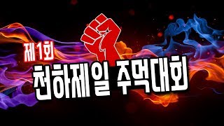 제1회 천하제일 주먹대회