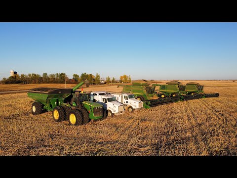 Harvest time in Saskatchewan 2022 / Erntezeit in Kanada