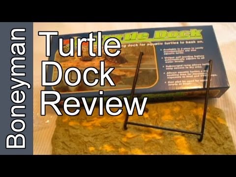 Zoo-Med Turtle Dock Review: Your Results May Vary