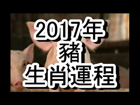 2017屬什麼