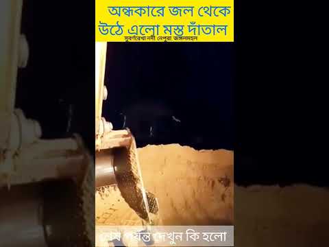 Wild Animal Collection/Wild Elephant in Subonarekha River