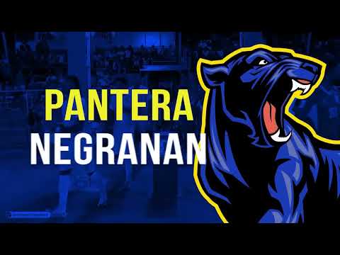  AMOS BALENTIN🎤🔥(BAN ARIBA) Curaçao.We are Curaçao...nos t'e ola  blou!🔥💙🇨🇼