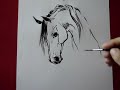 Hogy rajzoljunk lófejet