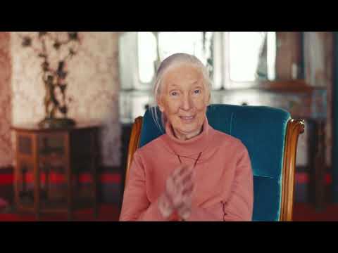 Meet the 2021 Templeton Prize Winner: Dr. Jane Goodall