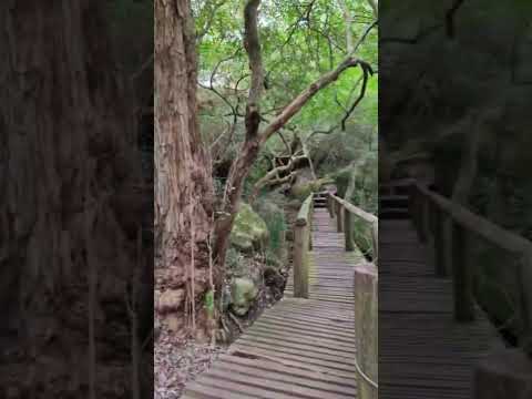 #Durazno#camino a gruta la llorona parte 1#la paloma#Durazno