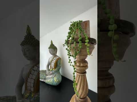 Apartaestudios, Alquiler, La Flora - $2.000.000