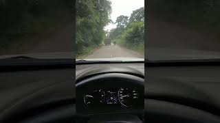 Download lagu Story nyetir mobil pajero siang hari #pajero #pajerosport #pajerosport2020 mp3