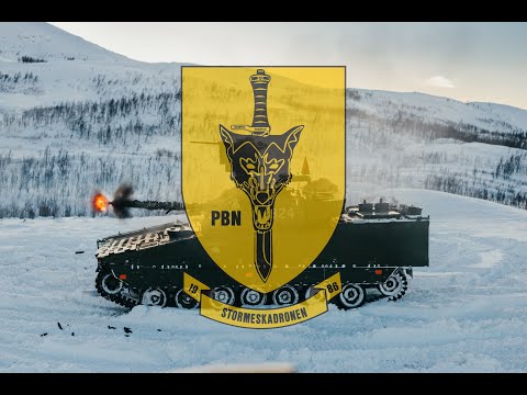 STORMESKADRON 3 - Panserbataljonen - Dimmefilm 1908