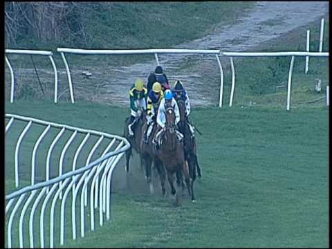 Galoppo 18/12/2016 - 3ª corsa