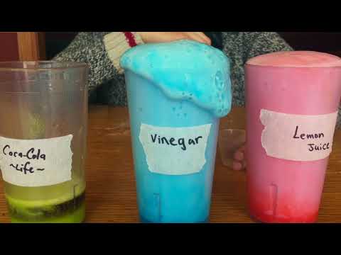 Acid-Base Reaction Experiment