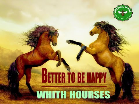 || Animal Book || Better to be happy whith horses