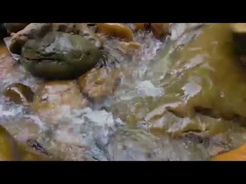 Prece Xamânica Poesia