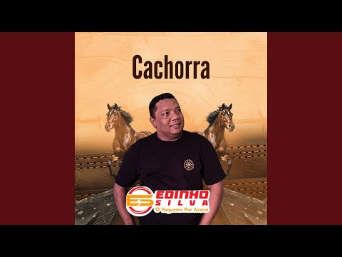 Cachorra