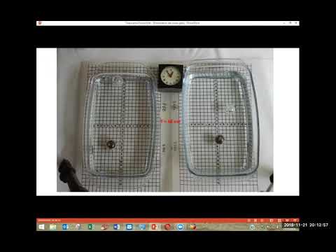 2018 11 21 PM Public Teaching in French - Enseignements publics en français